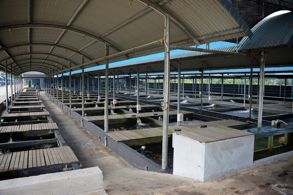 KranjiCountrysideSingapore008 Modern Practicality